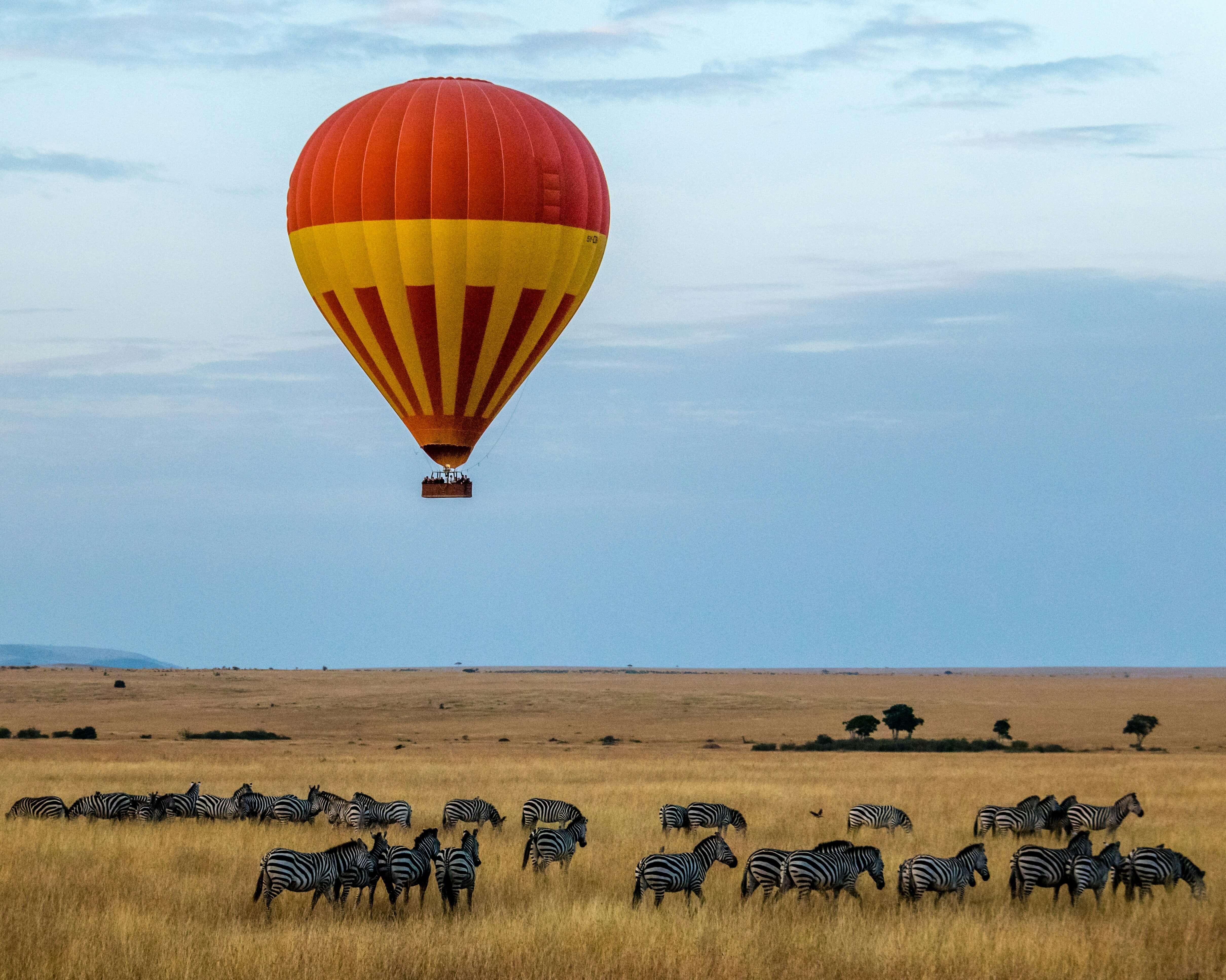 Maasai Mara Safari