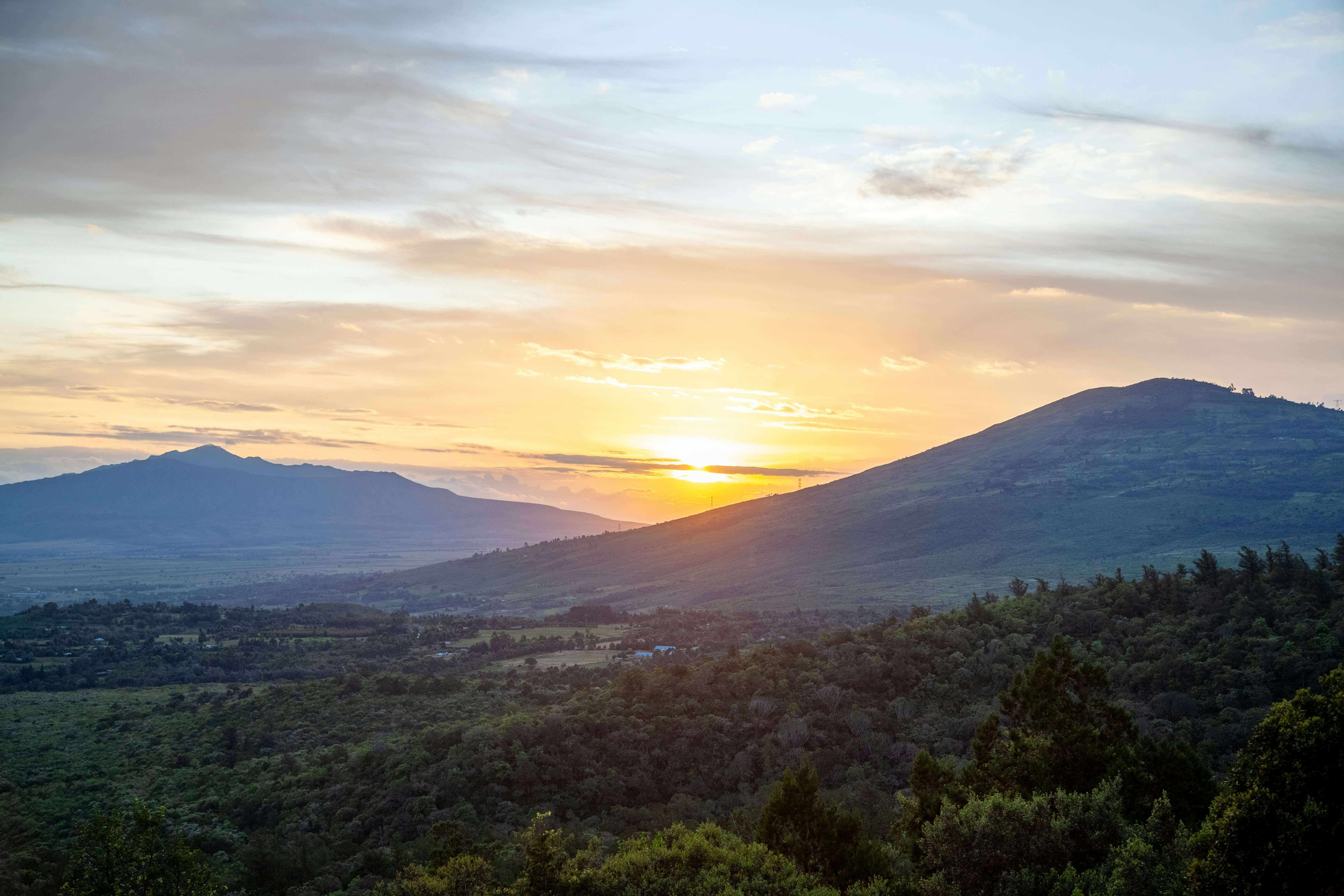 The Great Rift Valley Safari Experience